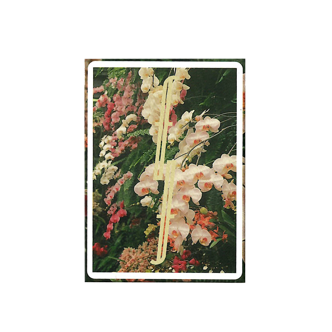 Botanical Fontaine
