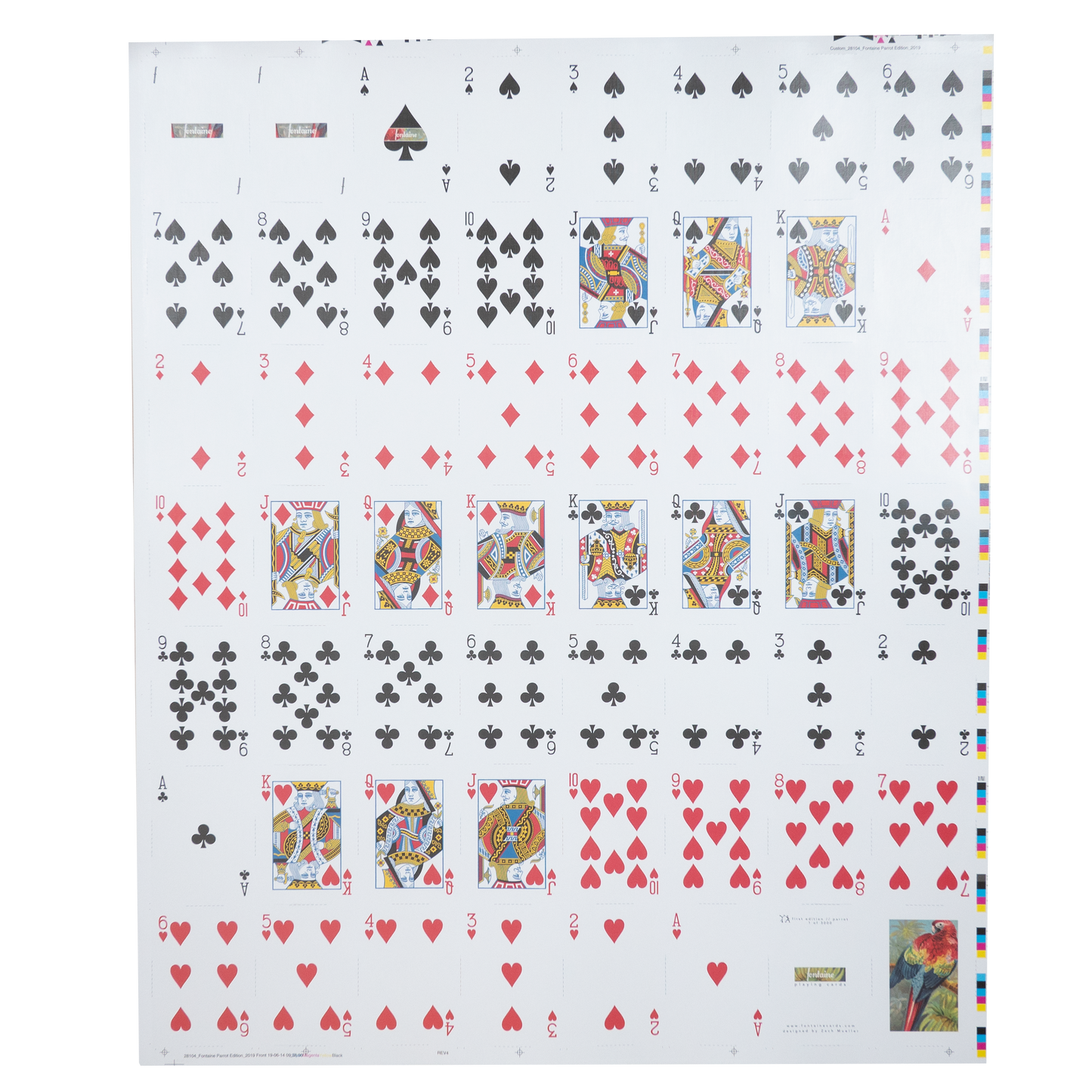 Parrot Uncut Sheet