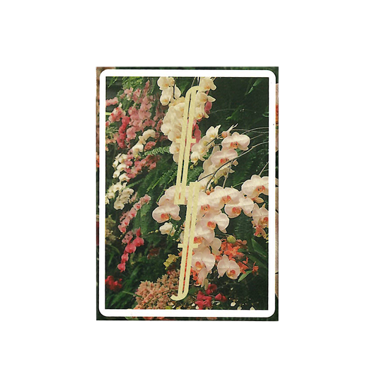 Botanical Fontaine