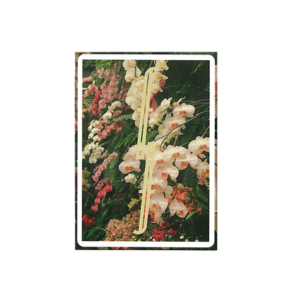 Botanical Fontaine