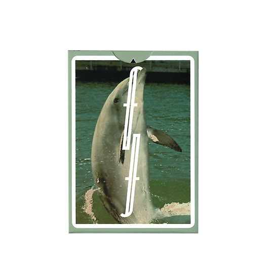 Flipper Fontaine