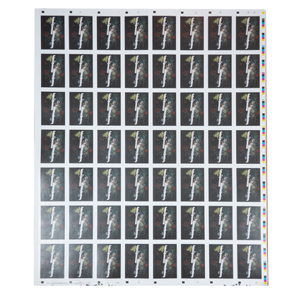 Floral Uncut Sheet