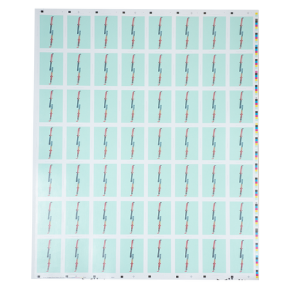 Parrot Uncut Sheet