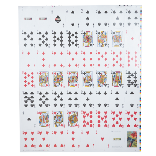 Parrot Uncut Sheet