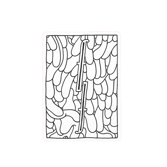 Royal Fever White Fontaine