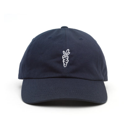 Carrots Navy Hat